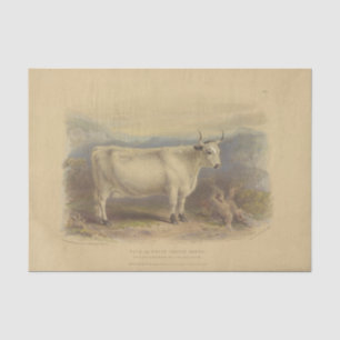  White Cow Ephemera Decoupage Vintage Farm Tissue Paper