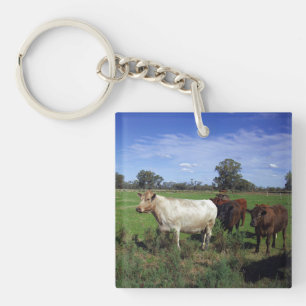 White Cow Leading The Herd, Keychain
