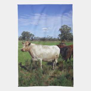 White Cow With Brown Cow Herd, Kitchen Towel
