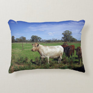 White Cow With His Herd, Accent Pillow
