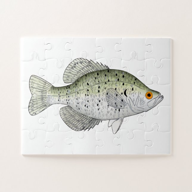 White Crappie Magnet Jigsaw Puzzle (Horizontal)