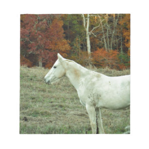 White Cream Horse in an Autumn Field Notepad