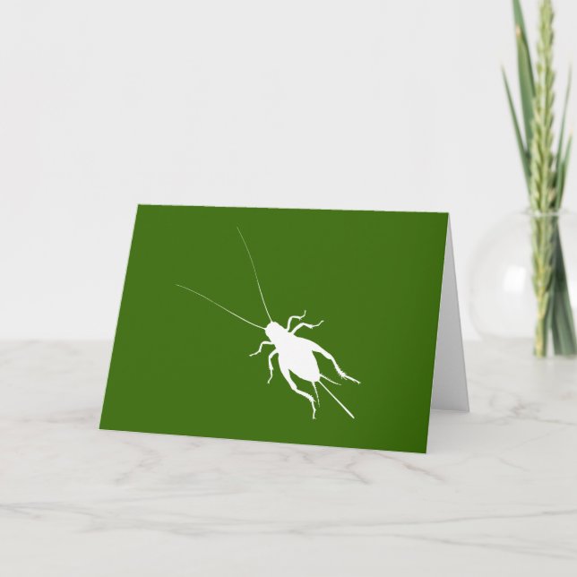 White Cricket Card (Front)