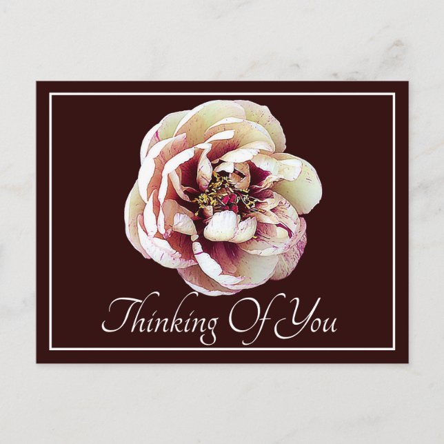 White Crimson Peony Wine Backdrop Thinking Of You Postcard (Front)