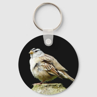 White Crowned Song Sparrow Keychain