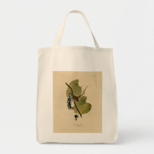 White-crowned Sparrow - Audubon's Birds of America Tote Bag