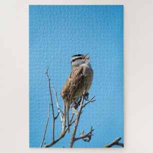 White-crowned Sparrow Jigsaw Puzzle