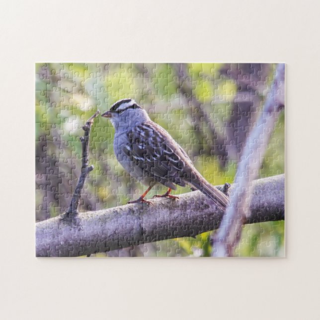 White-crowned Sparrow Jigsaw Puzzle (Horizontal)