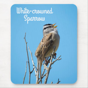 White-crowned Sparrow Mouse Pad