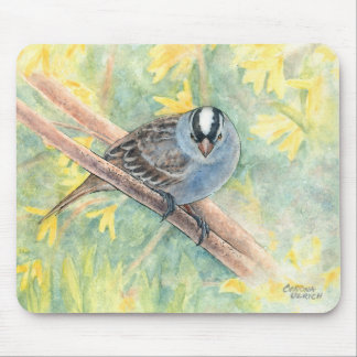 White Crowned Sparrow Mouse Pad