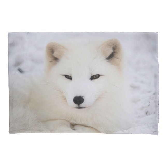 White cute fox in snow looking at you pillowcase (Front)