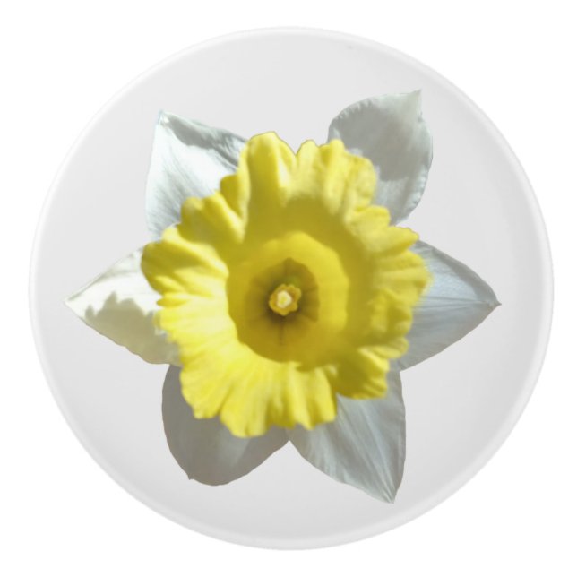 White Daffodil  Ceramic Knob (Front)