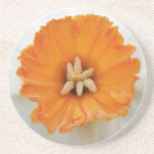 White Daffodil Coasters