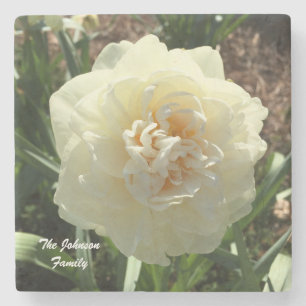 White Daffodil Customize your family Stone Coaster
