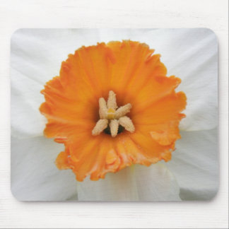 White daffodil Mousepad