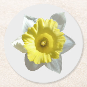 White Daffodil Paper Coaster