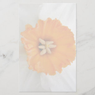 White Daffodil Stationery