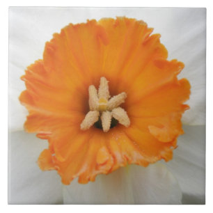White Daffodil Tile