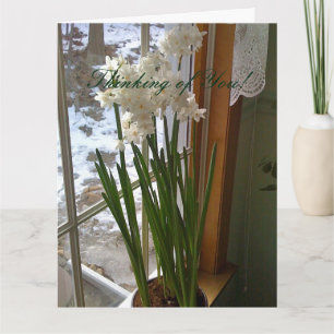 White Daffodils in Window Customized Greeting Card