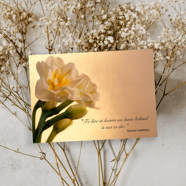 White Daffodils Thank You for Your Sympathy Card (Creator Uploaded)