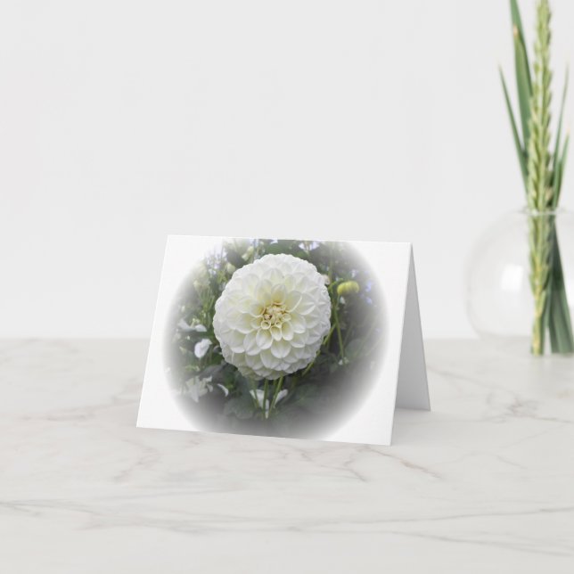 White Dahlia Flower Card (Front)