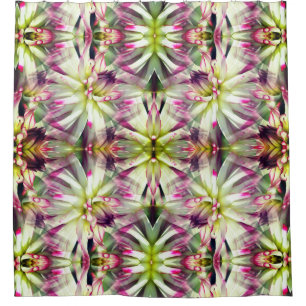 White Dahlia Flower Nature Abstract