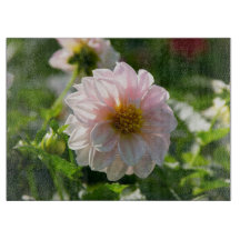 White dahlia in the garden photo
