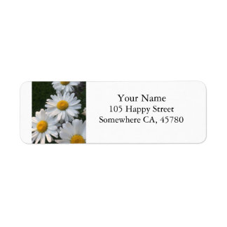 White Daisies
