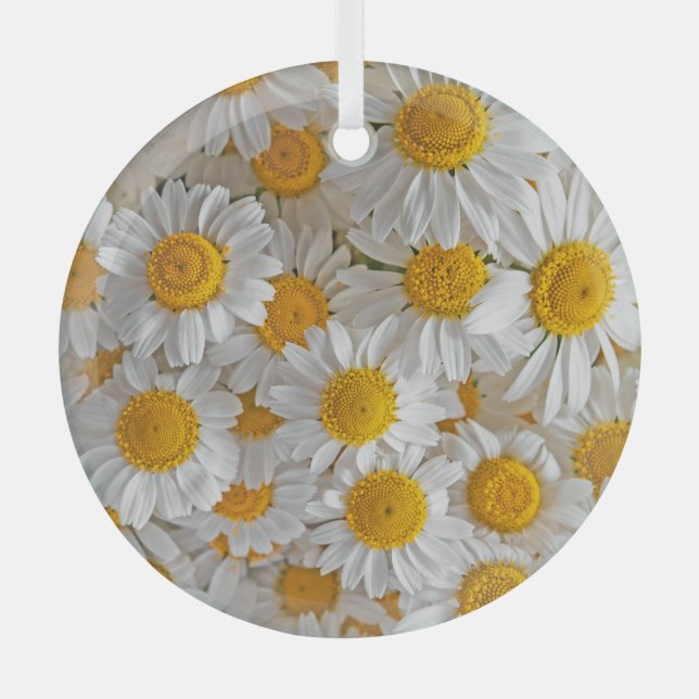 White Daisies: Beautiful Floral Background Glass Ornament (Front)