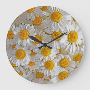 White Daisies: Beautiful Floral Background Large Clock