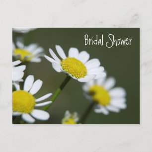 White Daisies Bridal Shower Invitation Postcard