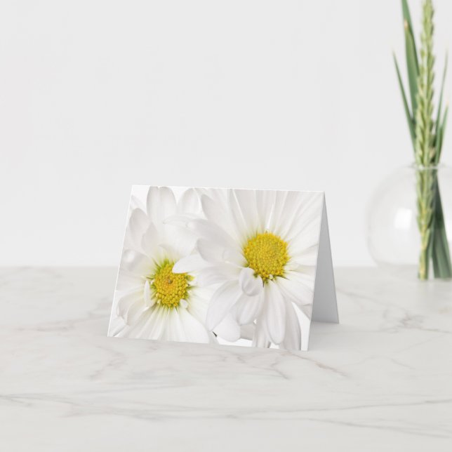 White Daisies - Customized Daisy Flower Template (Front)