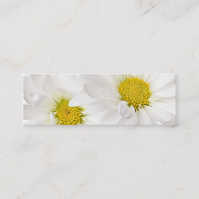 White Daisies - Customized Daisy Flower Template Mini Business Card (Front)
