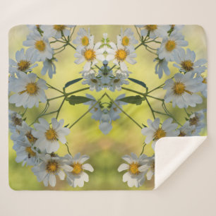 White daisies in spring colors sherpa blanket