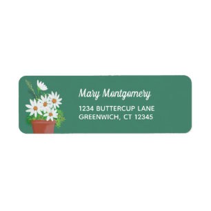White Daisies in Terra Cotta Return Address