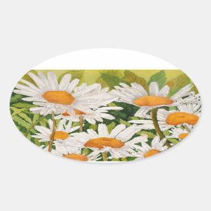 White Daisies Oval Sticker
