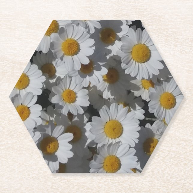 White Daisies Paper Coaster (Front)