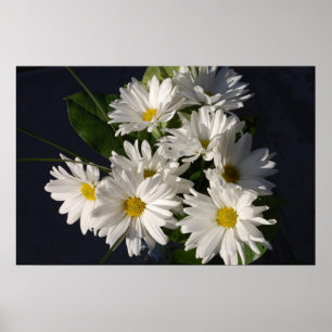 White Daisies Poster