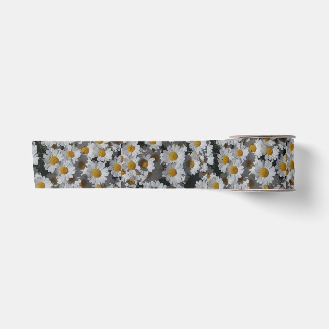 White Daisies  Satin Ribbon (Front)