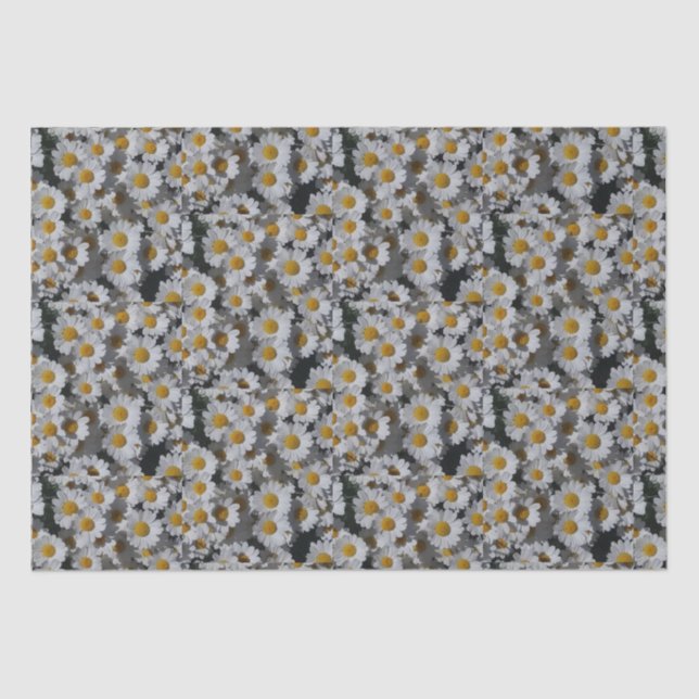 White Daisies  Tissue Paper (Front)
