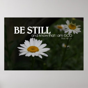 White Daisies with Optional Bible Verse Poster