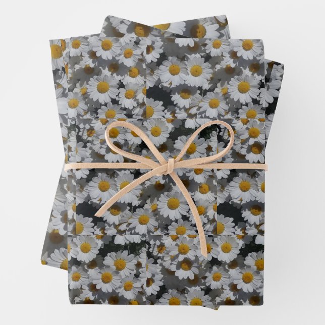 White Daisies  Wrapping Paper Sheet (In situ)