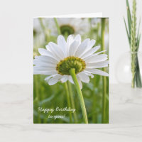 white daisy-birthday