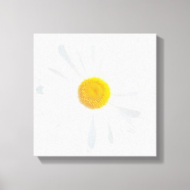 white daisy canvas print (Front)