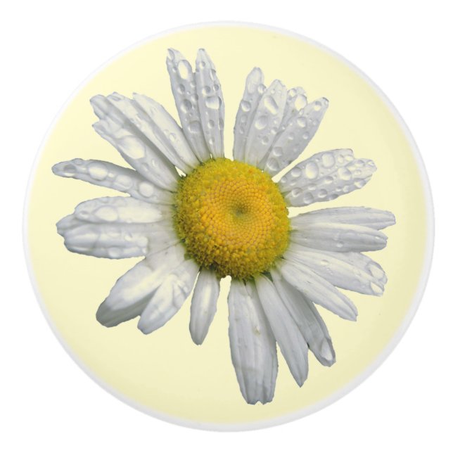 White Daisy Ceramic Knob (Front)