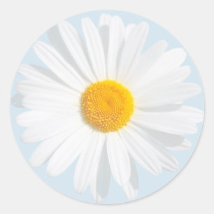white daisy classic round sticker