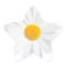 white daisy