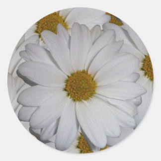 White Daisy Classic Round Sticker