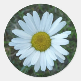 white daisy classic round sticker