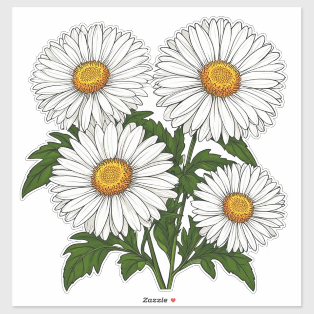 White Daisy Cluster (Sheet)